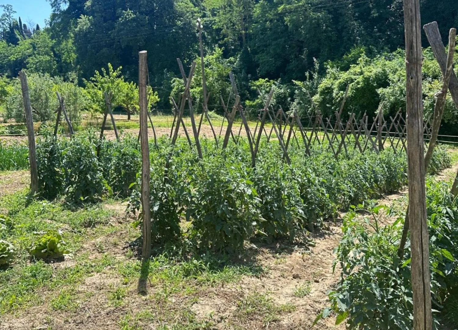Alloggio per agriturismo agriturismo san biagio Villa Montepulciano Stazione Italia