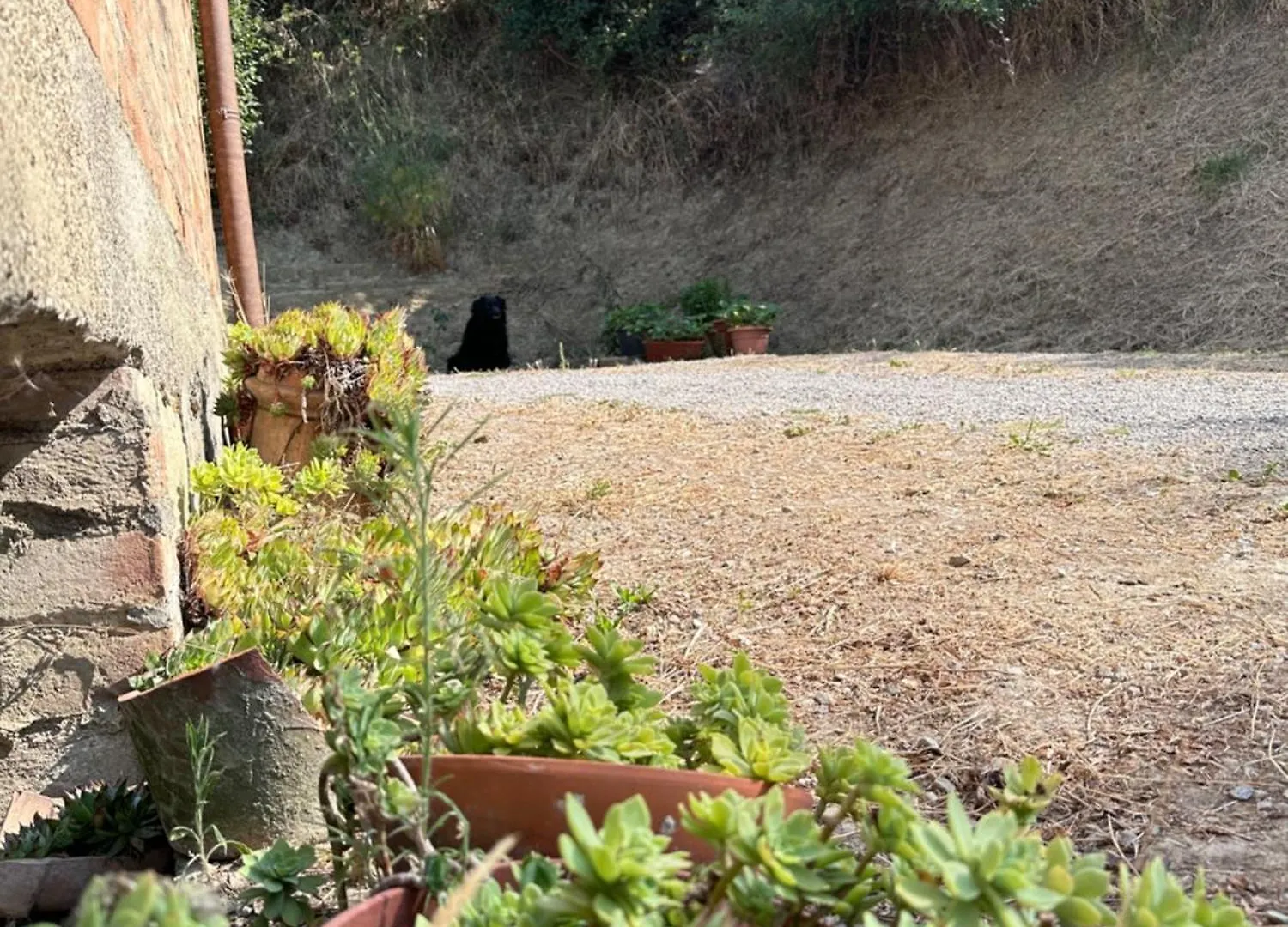 Agriturismo San Biagio Villa Montepulciano