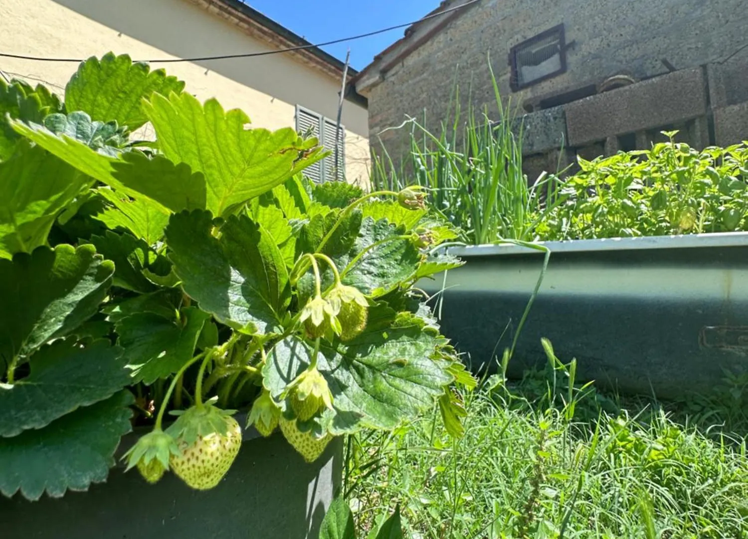 Agriturismo San Biagio Villa Montepulciano 0*,  Italy